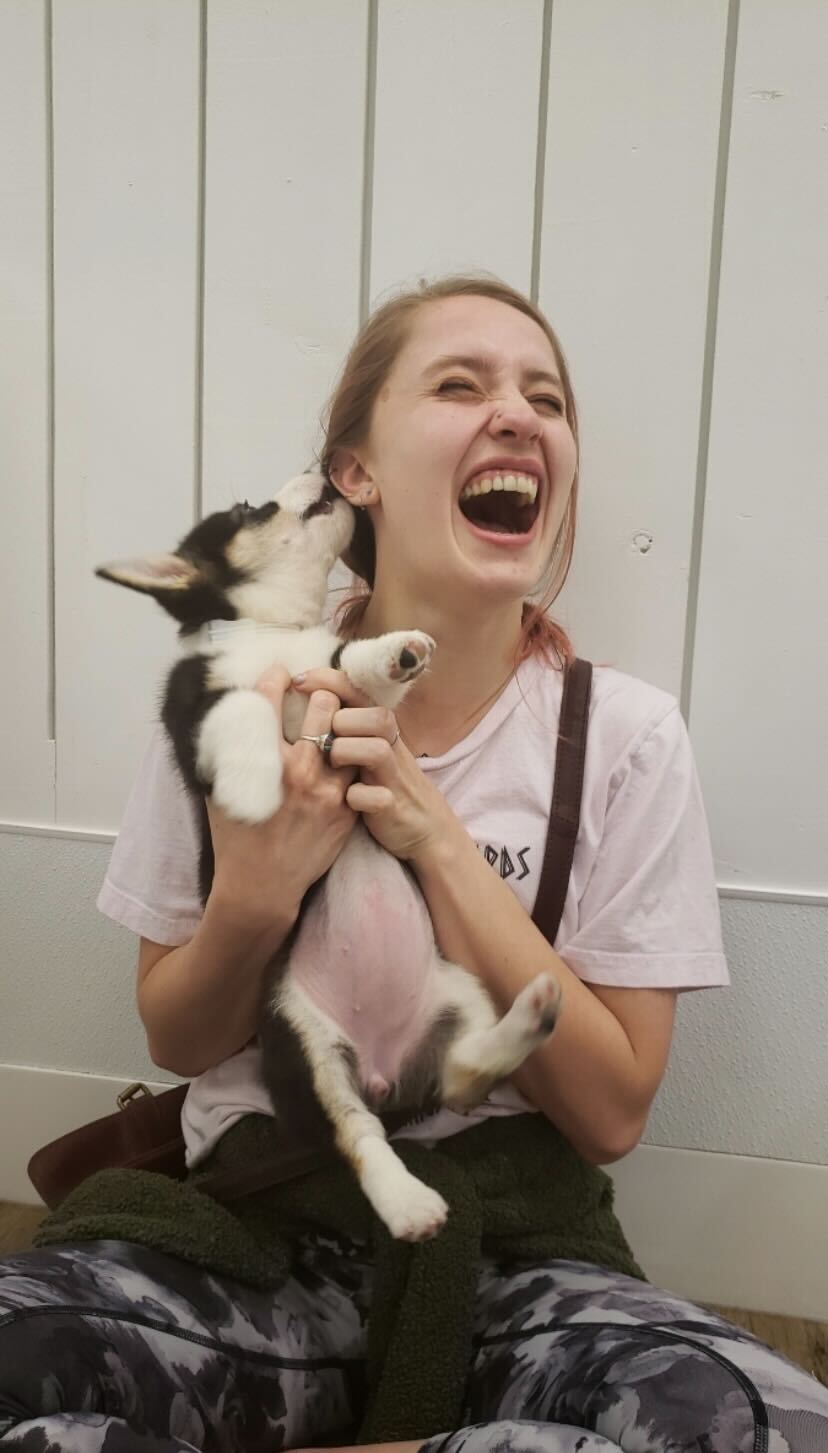 Team Sugar House Pets